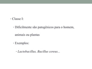 • Classe I:
• Dificilmente são patogênicos para o homem,
animais ou plantas
• Exemplos:
• Lactobacillus, Bacillus cereus...
 