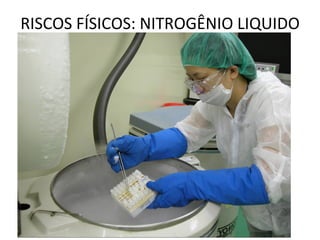 RISCOS FÍSICOS: NITROGÊNIO LIQUIDO
 