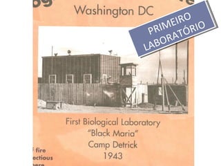 IRO O
   IM E ÓRI
 PR AT
    OR
LAB
 