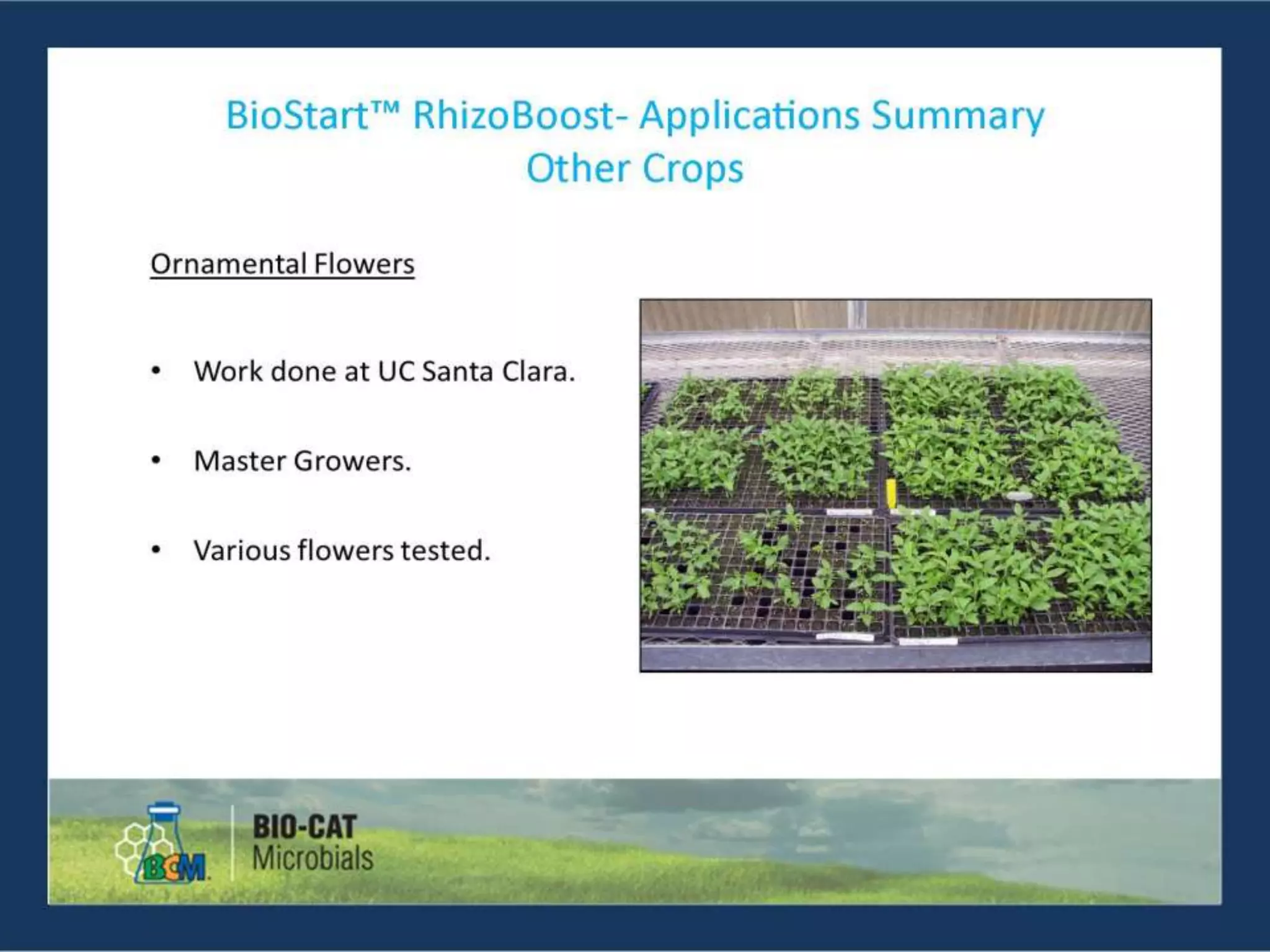BioStart RhizoBoost Presentation | PPTX