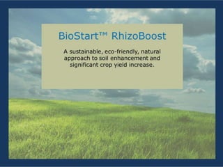 BioStart RhizoBoost Presentation | PPTX