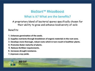 BioStart RhizoBoost Presentation | PPTX
