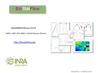 Biostatflow | PPTX
