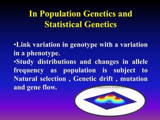In Population Genetics and
Statistical Genetics
•Link variation in genotype with a variation
in a phenotype.
•Study distributions and changes in allele
frequency as population is subject to
Natural selection , Genetic drift , mutation
and gene flow.
 