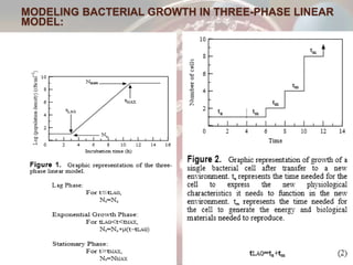 Modelling of Bacterial Growth | PPTX
