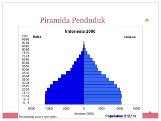 Piramida Penduduk
                                       Indonesia 2000
  100+      Males                                                                 Females
  95-99
  90-94
  85-89
  80-84
  75-79
  70-74
  65-69
  60-64
  55-59
  50-54
  45-49
  40-44
  35-39
  30-34
  25-29
  20-24
  15-19
  10-14
   5- 9
   0- 4

       15000           10000          5000          0         5000        10000        15000
                                                                                               58
                                             Numbers ('000)
The oldest age group is open-ended.            58                    Population 212,1m
 