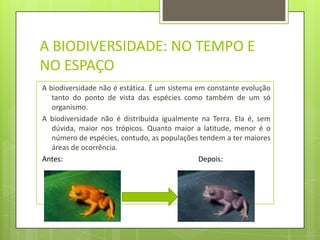 A Variedade Genética A variedade genética mede a tendência dos diferentes alelos de um mesmo gene variarem entre si, numa dada população.Imagem tirada no site: Ciencias3c