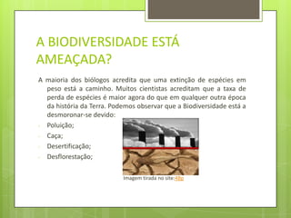 Fauna e FloraA Fauna é o termo coletivo para a vida animal de uma determinada região ou período de tempo.A Flora é conjunto de espécies vegetais de uma determinada região.Imagens tiradas nos sites:EfectoHumano e 4Bp