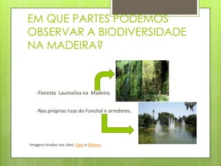 A BIODIVERSIDADE: NO TEMPO E NO ESPAÇOA biodiversidade não é estática. É um sistema em constante evolução tanto do ponto de vista das espécies como também de um só organismo. 99% das espécies que já viveram na Terra estão hojeA biodiversidade não é distribuída igualmente na Terra. Ela é, sem dúvida, maior nos trópicos. Quanto maior a latitude, menor é o número de espécies, contudo, as populações tendem a ter maiores áreas de ocorrência. Antes:                                                                          Depois: