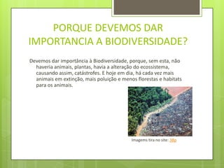 A BIODIVERSIDADE ESTÁ AMEAÇADA?A maioria dos biólogos acredita que uma extinção de espécies em peso está a caminho. Muitos cientistas acreditam que a taxa de perda de espécies é maior agora do que em qualquer outra época da história da Terra. Podemos observar que a Biodiversidade está a desmoronar-se devido:Poluição;
