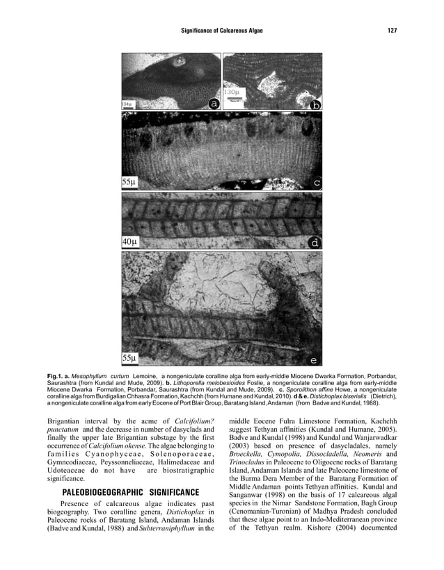 Biostratigraphic, paleobiogeographic, paleoenvironmental significance ...