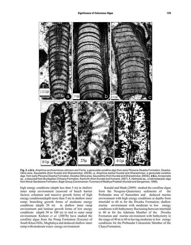 Biostratigraphic, paleobiogeographic, paleoenvironmental significance ...