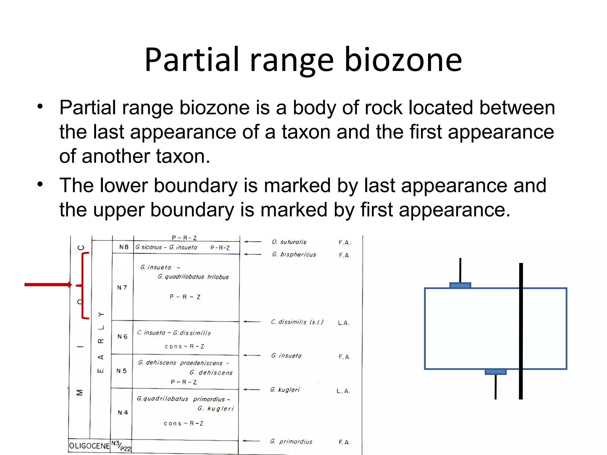 Partial range biozone
• Partial range biozone is a body of rock located between 
  the last appearance of a taxon and the first appearance 
  of another taxon.
• The lower boundary is marked by last appearance and 
  the upper boundary is marked by first appearance. 
 