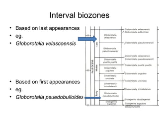 Interval biozones
• Based on last appearances
• eg. 
• Globorotalia velascoensis




• Based on first appearances
• eg. 
• Globorotalia psuedobulloides
 