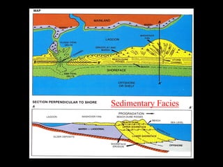 Sedimentary Facies
 