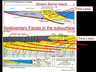 Modern Barrier Island
                                             Time Lines




Sedimentary Facies in the subsurface
    Wire line logs
                                               Time Lines
 