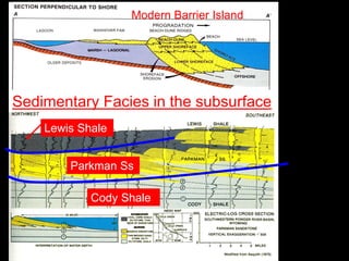 Modern Barrier Island




Sedimentary Facies in the subsurface
    Wire line logs
    Lewis Shale


           Parkman Ss

                 Cody Shale
 