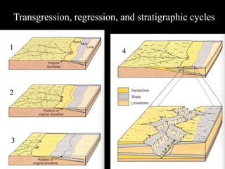 Transgression, regression, and stratigraphic cycles

1                           4




2




3
 