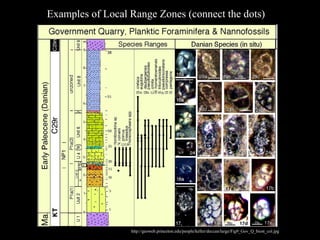 Examples of Local Range Zones (connect the dots)




                  http://geoweb.princeton.edu/people/keller/deccan/large/Fig9_Gov_Q_biost_col.jpg
 