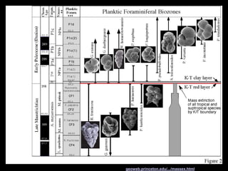 geoweb.princeton.edu/.../massex.html
 