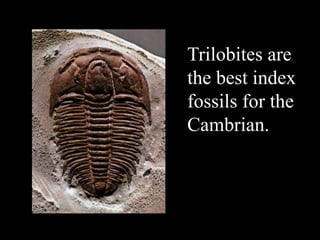 Trilobites are
the best index
fossils for the
Cambrian.
 