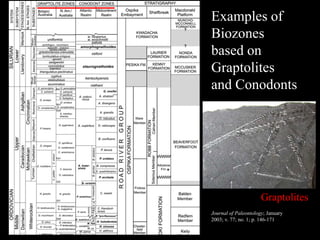 Examples of
Biozones
based on
Graptolites
and Conodonts




                      Graptolites
Journal of Paleontology; January
2003; v. 77; no. 1; p. 146-171
 