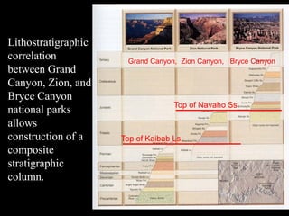 Lithostratigraphic
correlation           Grand Canyon, Zion Canyon, Bryce Canyon
between Grand
Canyon, Zion, and
Bryce Canyon
                                   Top of Navaho Ss.
national parks
allows
construction of a    Top of Kaibab Ls.
composite
stratigraphic
column.
 