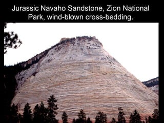 Jurassic Navaho Sandstone, Zion National
     Park, wind-blown cross-bedding.
 