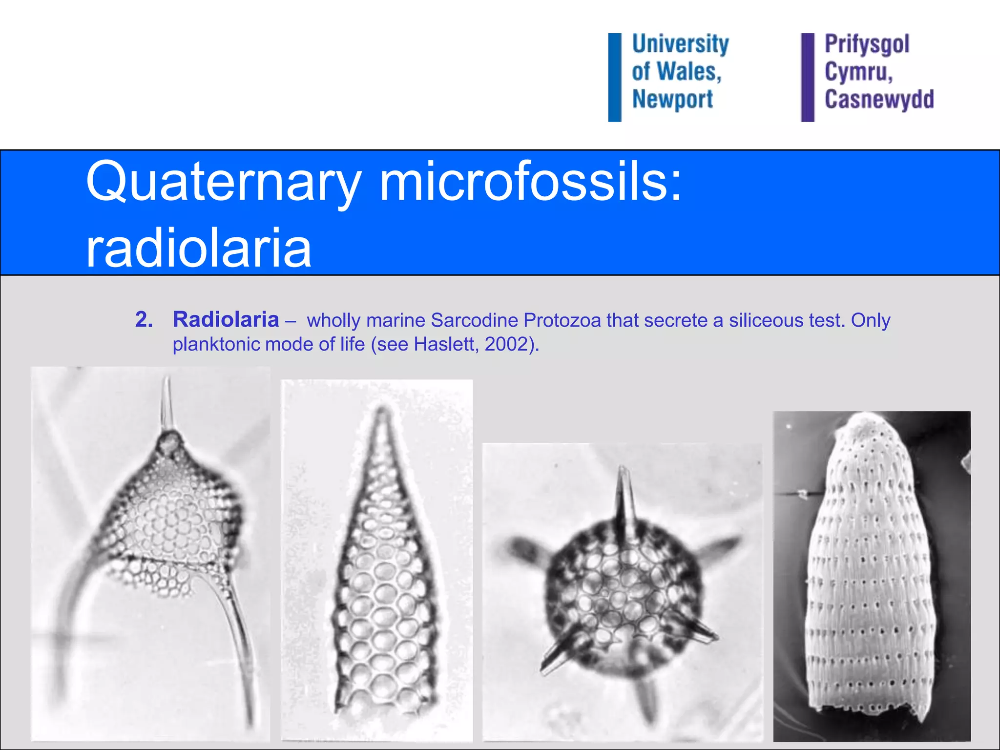 Quaternary microfossils: radiolariaRadiolaria –  wholly marine Sarcodine Protozoa that secrete a siliceous test. Only planktonic mode of life (see Haslett, 2002).