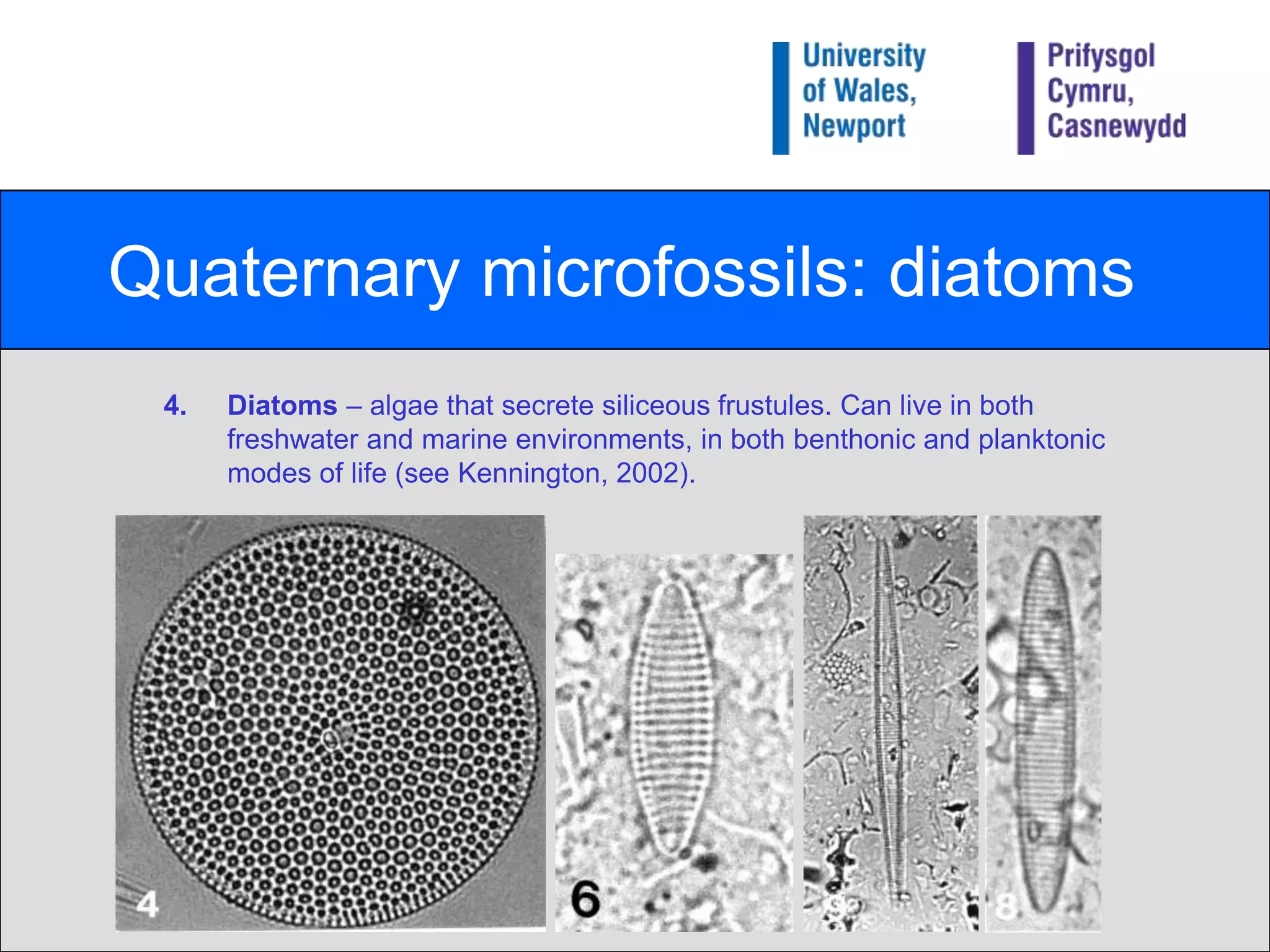 Quaternary microfossils: diatomsDiatoms – algae that secrete siliceous frustules. Can live in both freshwater and marine environments, in both benthonic and planktonic modes of life (see Kennington, 2002).