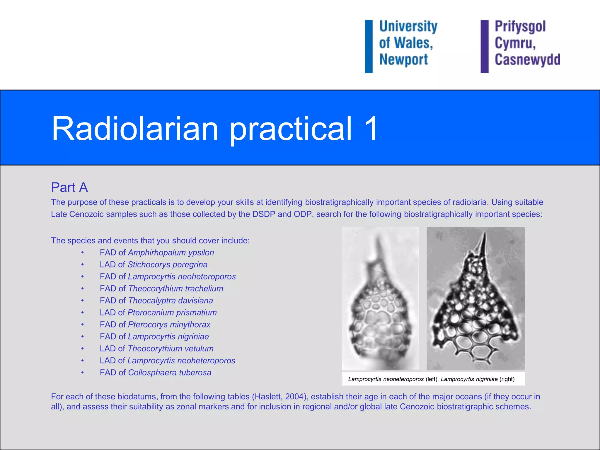 Radiolarian practical 1Part AThe purpose of these practicals is to develop your skills at identifying biostratigraphically important species of radiolaria. Using suitable Late Cenozoic samples such as those collected by the DSDP and ODP, search for the following biostratigraphically important species:The species and events that you should cover include:FAD of Amphirhopalumypsilon