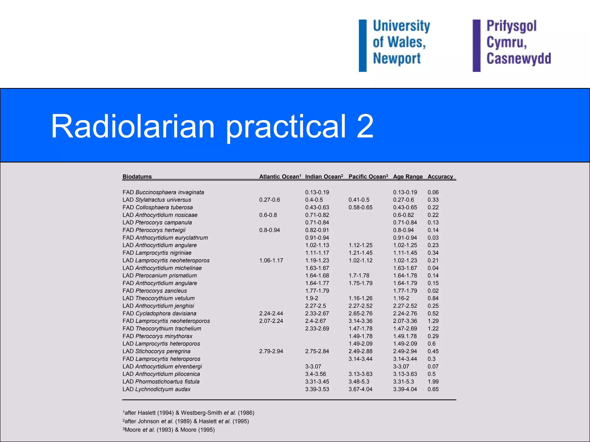 LAD of Stichocorysperegrina