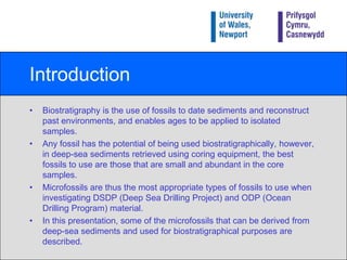 IntroductionBiostratigraphy is the use of fossils to date sediments and reconstruct past environments, and enables ages to be applied to isolated samples.Any fossil has the potential of being used biostratigraphically, however, in deep-sea sediments retrieved using coring equipment, the best fossils to use are those that are small and abundant in the core samples.Microfossils are thus the most appropriate types of fossils to use when investigating DSDP (Deep Sea Drilling Project) and ODP (Ocean Drilling Program) material.In this presentation, some of the microfossils that can be derived from deep-sea sediments and used for biostratigraphical purposes are described.