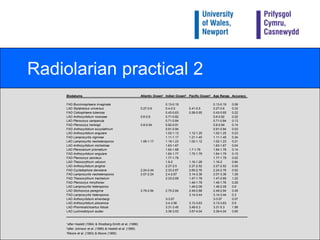 LAD of Stichocorysperegrina