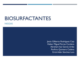 BIOSURFACTANTES
NIGGAS

Jesús Gilberto Rodríguez Ceja
Heber Miguel Torres Cordero
Abraham Isaí García Uribe
Porfirio Quintero Cadena
Erick Adán Sánchez Lara

 