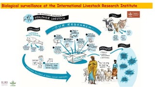 Biological emergencies surveillance, early warning and rapid response systems: Status and perspectives for East Africa