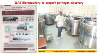 Biological emergencies surveillance, early warning and rapid response systems: Status and perspectives for East Africa