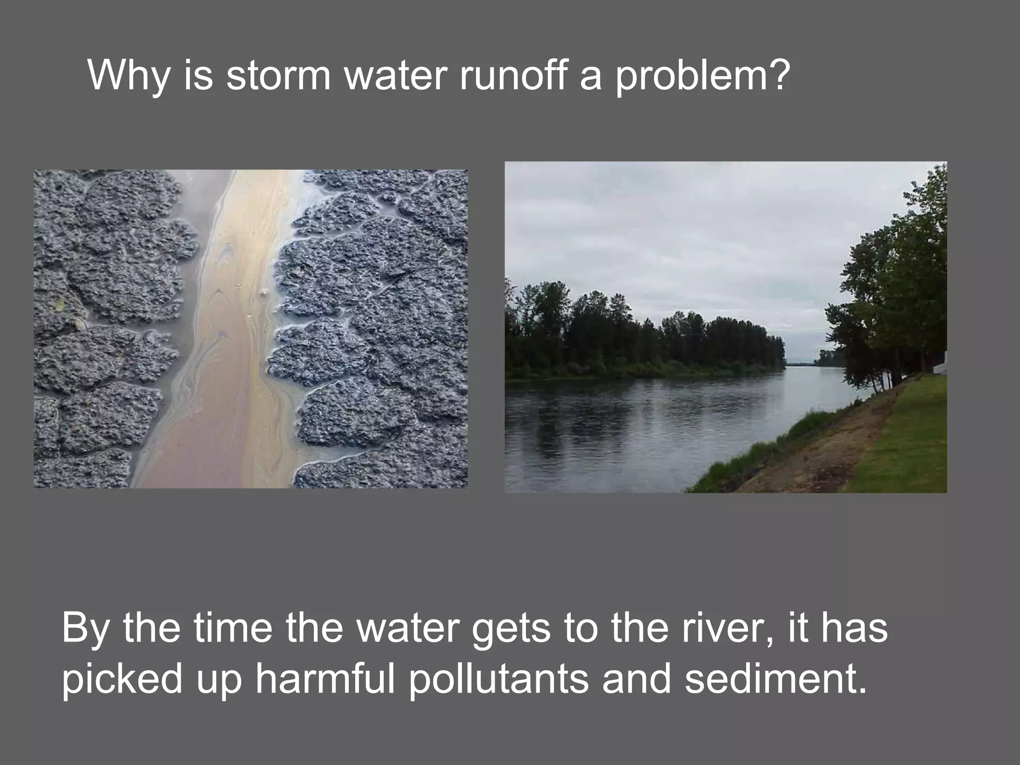 By the time the water gets to the river, it has picked up harmful pollutants and sediment. Why is storm water runoff a problem?  