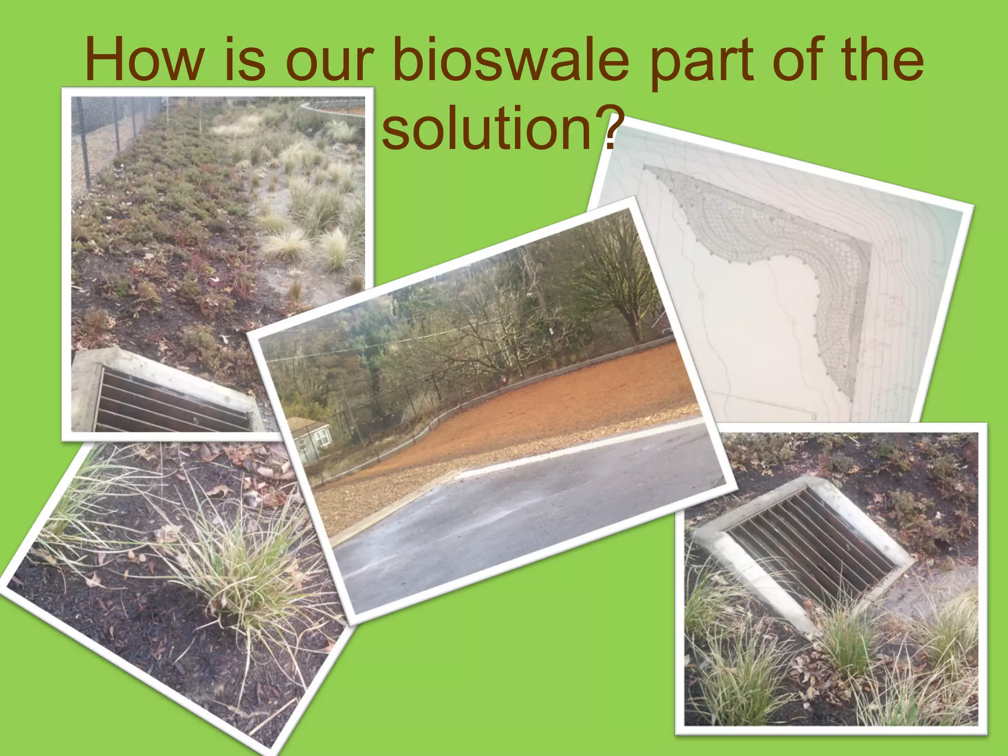 How is our bioswale part of the solution? 