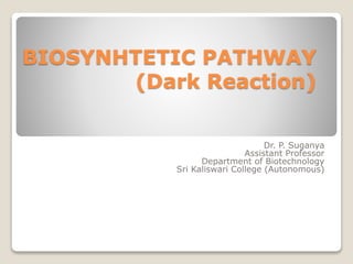 BIOSYNHTETIC PATHWAY
(Dark Reaction)
Dr. P. Suganya
Assistant Professor
Department of Biotechnology
Sri Kaliswari College (Autonomous)
 