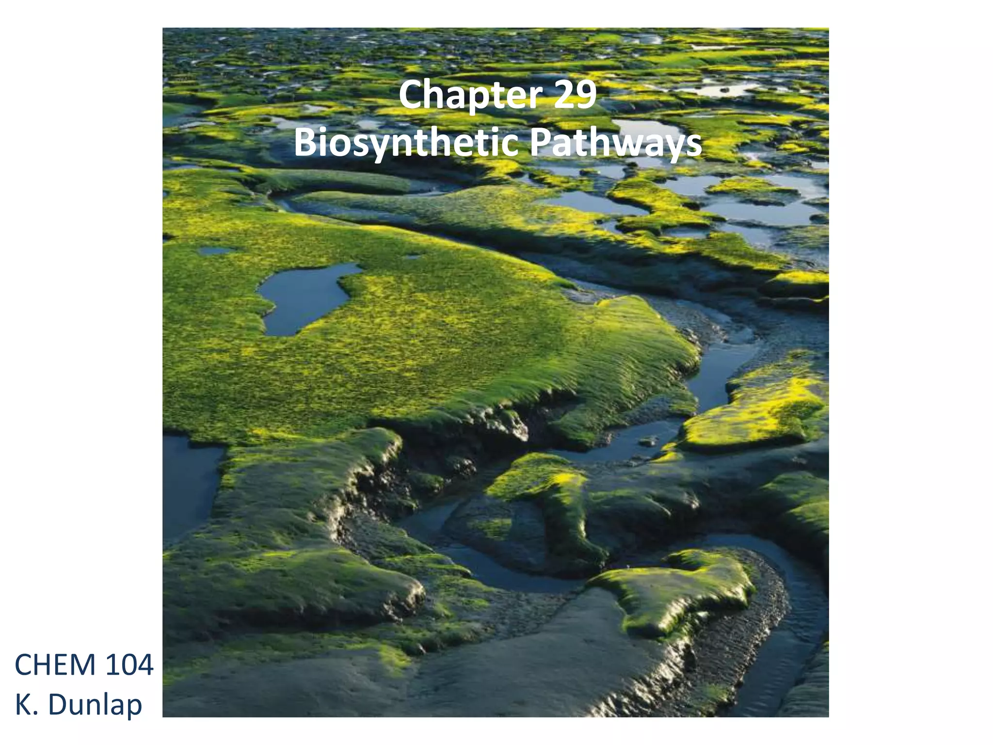 Biosynthesis | PPTX
