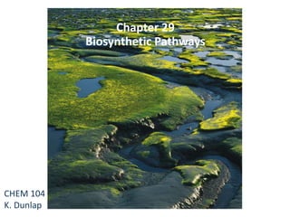 Chapter 29
Biosynthetic Pathways
CHEM 104
K. Dunlap
 