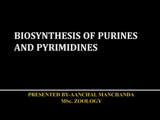 BIOSYNTHESIS OF PURINES
AND PYRIMIDINES
 