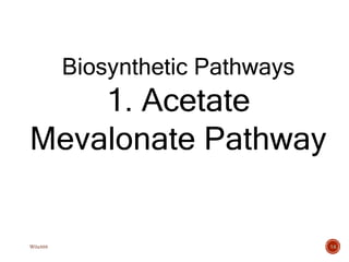 Biosynthetic Pathways
1. Acetate
Mevalonate Pathway
14
W0x888
 