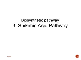 Biosynthetic pathway
3. Shikimic Acid Pathway
18
W0x888
 