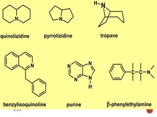 22
N N
N
H
N
quinolizidine pyrrolizidine tropane
benzylisoquinoline
N
N N
N
H
purine
C C N
-phenylethylamine
W0x888
 