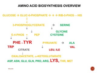 25
GLUCOSE  GLUC-6-PHOSPHATE    RIB-5-PHOS→ HIS


3-PHOSPHOGLYCERATE  SERINE
 
 GLYCINE
E-4-PHOS + PEP CYSTEINE
 
PHE→TYR PYRUVATE  ALA
TRP  VAL
CITRATE LEU, ILE
↓
OXALOACETATE, -KETOGLUTARATE
ASP, ASN, GLU, GLN, PRO, ARG, LYS, THR, MET
AMINO ACID BIOSYNTHESIS OVERVIEW
W0x888
 