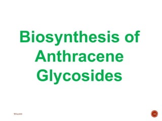 Biosynthesis of
Anthracene
Glycosides
30
W0x888
 