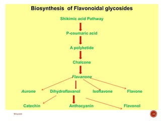 Biosynthesis of Flavonoidal glycosides
Shikimic acid Pathway
P-coumaric acid
A polyketide
Chalcone
Flavanone
Aurone Dihydroflavanol Isoflavone Flavone
Catechin Anthocyanin Flavonol
38
W0x888
 
