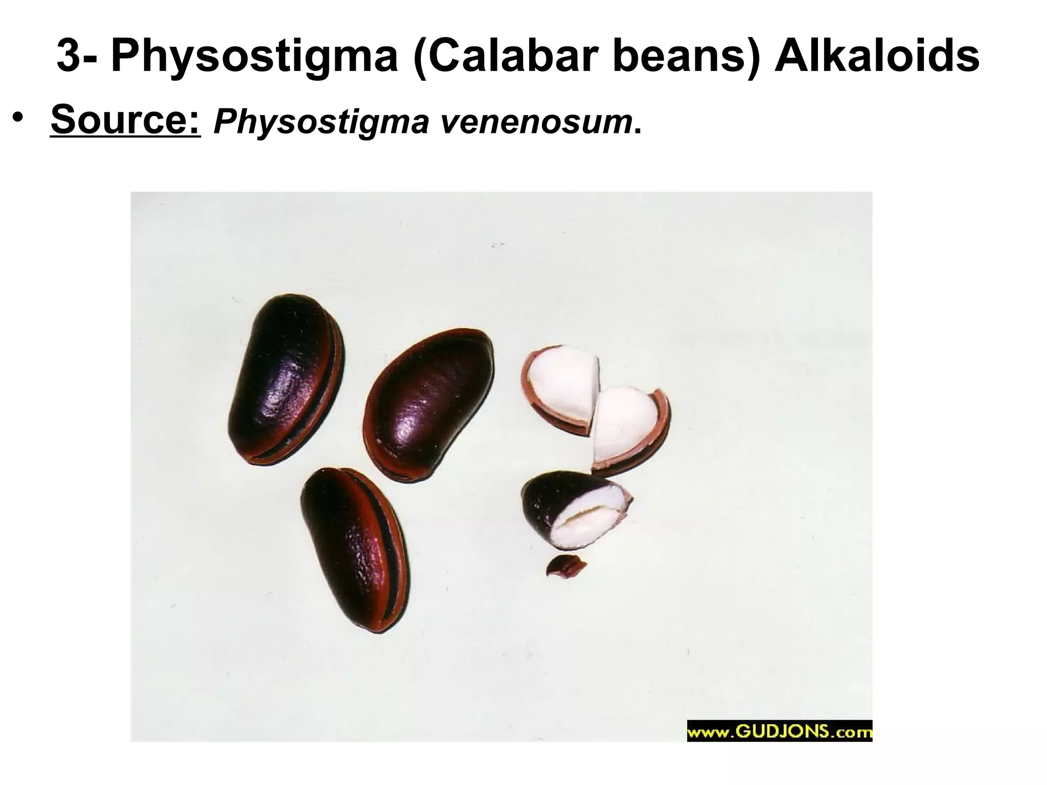 3- Physostigma (Calabar beans) Alkaloids
• Source: Physostigma venenosum.
 